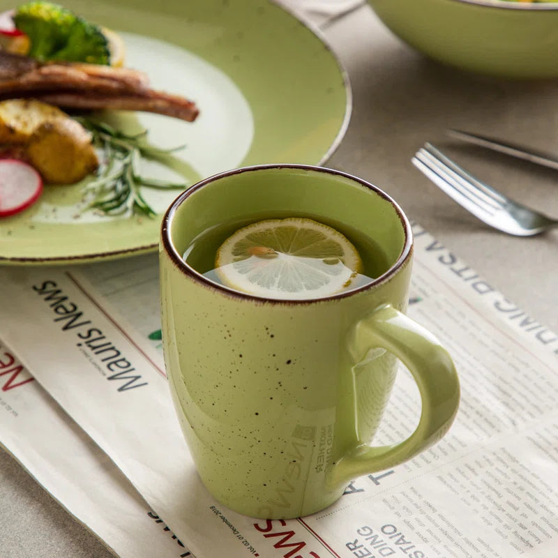 Joyfulworld Aagman 16-Piece Stoneware Dinnerware Set for 4 | Dishwasher Safe